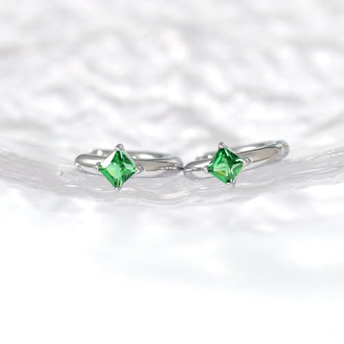 316L Surgical Steel Birthstone Hoop Earrings for Women | Lightweight, 5A Cubic Zirconia, Hypoallergenic, Lead & Nickel Free, 8mm Huggie Hoops - color: Silver: 05. May (Emerald)