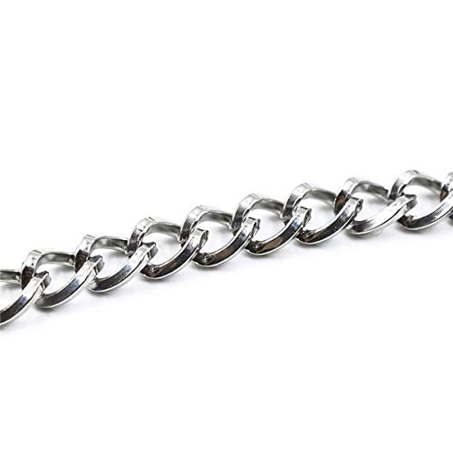 Succuba Padlock Necklace Metal Chain Collar Choker Heart Lock Necklace with Key and Box for Women, Men and Pet (16 to 22 Inches) - color: C