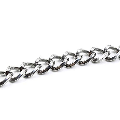 Succuba Padlock Necklace Metal Chain Collar Choker Heart Lock Necklace with Key and Box for Women, Men and Pet (16 to 22 Inches) - color: C