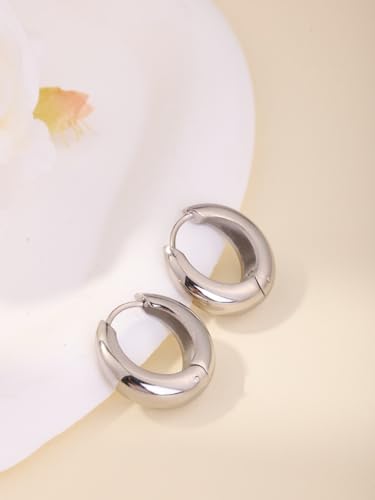 Chunky Small Hoop Earrings for Women 14mm/16mm/19mm Stainless Steel Huggie Earrings Everyday Jewelry Gift for Wife Mom, with Gift Box - color: Silver 19mm