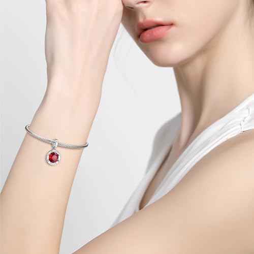 Birthstone Charms for Women Bracelets Birthday Bead Charms fit Pandora Bracelets Mothers Day Gifts for Women - color: 01-January(Garnet)