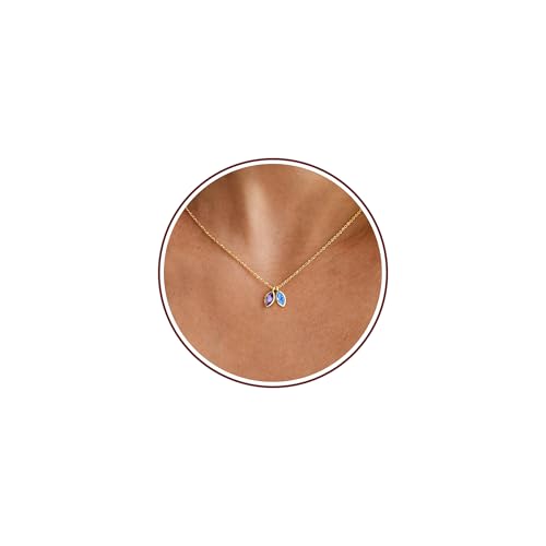 2026 Graduation Gifts Birthstone Necklace for Women Dainty Gold Necklace with 2 Birthstone Birthday Gift for Her Teen Girl Gift Trendy Stuff for Her Mom Daughter Girlfriend Friend Christmas Stocking Stuffers - color: 02-12 Feb & Dec, style: Leaf