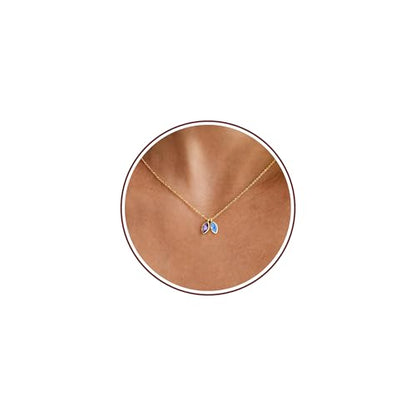2026 Graduation Gifts Birthstone Necklace for Women Dainty Gold Necklace with 2 Birthstone Birthday Gift for Her Teen Girl Gift Trendy Stuff for Her Mom Daughter Girlfriend Friend Christmas Stocking Stuffers - color: 02-12 Feb & Dec, style: Leaf