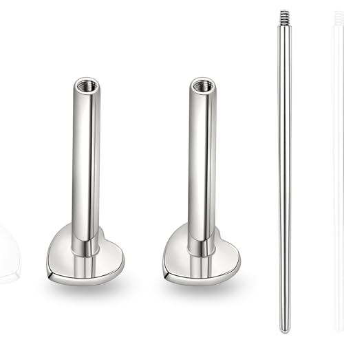 limerencia 16G/18G Hypoallergenic Internal Threaded Titanium Bar Post Replacement,Flat Back Stud Earrings Post Medusa Helix Couch Labret Bar for Women Men Sensitive Ears(A Pair) - color: silver heart, size: 16G-10mm