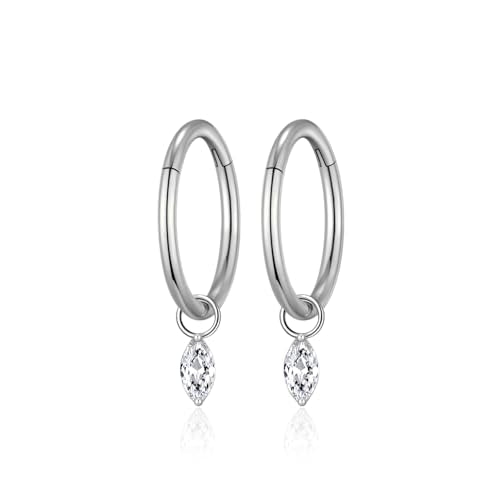 Ourania 16G Gold Stainless Steel Zircon Dangle Huggie Hoop Rook Piercing Helix Hoop Earring Tragus Hoop Cartilage Piercing for Women - color: Eyes Silver 2PCS, size: 1.2*10mm 2pcs