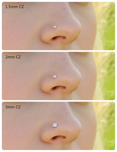 18G 20G 22G Round Cubic Zirconia Nose Rings Studs for Women Men 316L Stainless Surgical Steel Nose Ring Stud Piercing Jewelry Silver Clear CZ 1.5mm 2mm 3mm - style: 20G Screw Silver CZ 2mm
