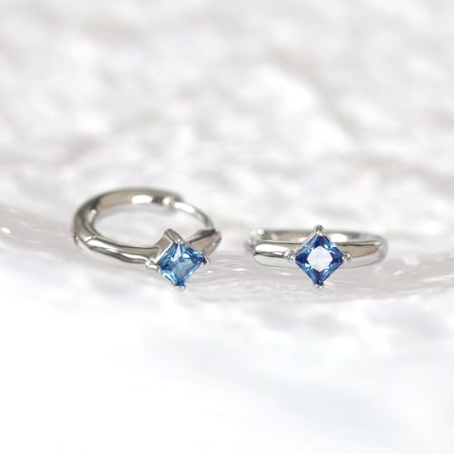 316L Surgical Steel Birthstone Hoop Earrings for Women | Lightweight, 5A Cubic Zirconia, Hypoallergenic, Lead & Nickel Free, 8mm Huggie Hoops - color: Silver: 12. December (Tanzanite)
