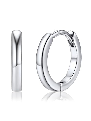 PROSTEEL Huggie Hoop Earrings For Women with 925 Sterling Silver Post | 8/10/12/14/16/18/20mm,14K Gold Plated/Black/Rose Gold/Silver Brass Lightweight Cubic Zirconia Cartilage Piercing Earring - color: 1. Silver, size: 10mm
