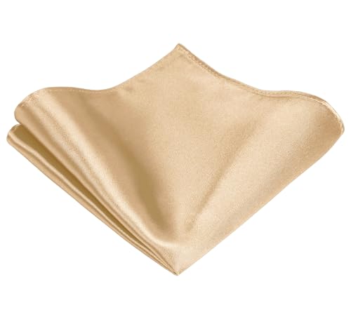 TIE G Solid Satin Woven dyed Color Formal Black Necktie and Pocket Square Sets in Gift Box - color: Beige