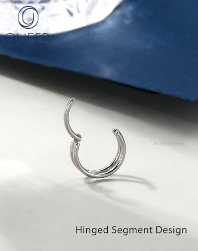 OUFER Nose Rings Hoops, 20G Double Rows Hoop Nose Ring For Women, 316L Surgical Steel Hinged Segment Cartialge Piercing, Inner Diameter 6/7/8MM Cartilage Rook Helix Lobe Tragus Earrings - color: Silver