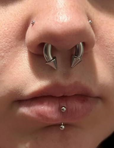 00G 0G 2G 4G 6G 8G 10G 12G 14G 16G Septum Rings Silver Black Surgical Steel Heavy Gauges Earrings Stretching kit Eyebrow Lip Septm Nose Rings Helix Tragus Daith Rook Earrings Hoops 10mm-19mm - color: Silver, size: 8G(3.0mm)-Inner Dia:14mm
