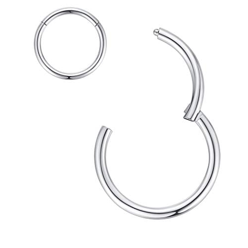 ORANGELOVE Hypoallergenic Nose Rings 20G 18G 16G 14G 12G 10G 8G 316l Surgical Steel Septum Jewelry Hinged Segment Ring Body Piercing Nose Hoop Lip Rings Nose Helix Cartilage Rook Earrings - color: Silver, size: 1pc 14 Gauge 12mm