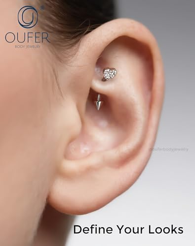 OUFER Rook Piercing Jewelry, G23 Solid Titanium Eyebrow Rings, Heart Vertical Labret Lip Jewelry, 16G Curved Barbells, Daith Rook Earrings for Women Men - color: Stainless Steel Heart, size: 16G 8mm