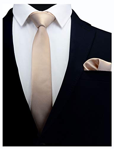 GUSLESON 2.4" Slim Necktie and Handkerchief Set For Men Solid Skinny Tie Set - color: Champagne