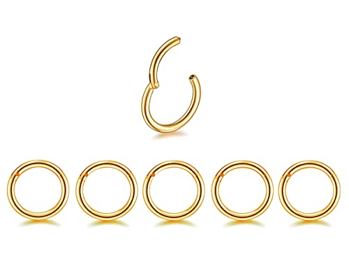 5Pcs 16G 18G Surgical Steel Nose Rings Hoop Tragus Septum Cartilage Hoop Earrings For Women Men Body Piercing Jewelry Kit Bar Length 6mm/8mm/10mm/12mm/14mm - style: 5Pcs -16G - Gold - 14mm