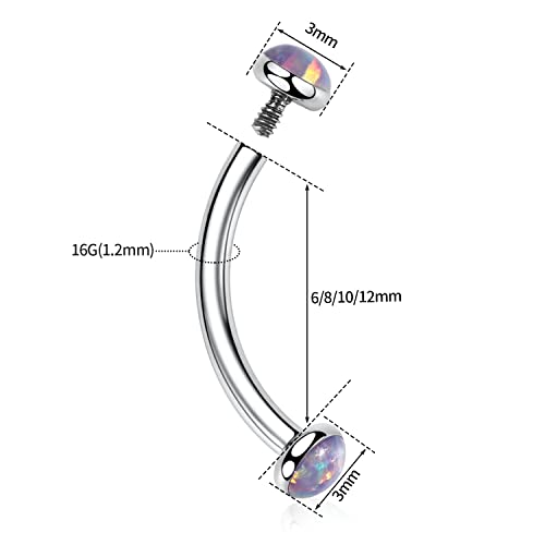GAGABODY G23 Titanium Eyebrow Piercing Jewelry Curved Barbell Lip Ring | Internal Thread Used in Eyebrow,Belly,Rook 16 Gauge from 6mm to 12mm Lightweight Daily for Woman and Man Sensitive Skin - color: 1Pc-Disc Shape Silver+Purple Opal, size: 16G-6mm