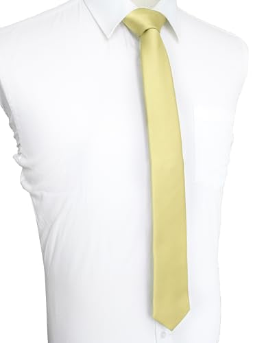JEMYGINS 2.4" Solid Color Skinny Tie and Pocket Square with Tie Clip Sets for Men (6cm) - color: Light Yellow