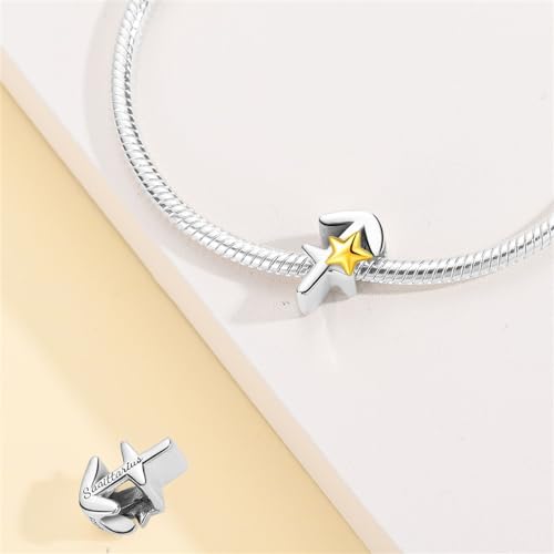 925 Sterling Silver 12 Astrological Signs Charm for Bracelets and Necklace Happy Birthday Charms for Bracelet and Necklace Valentine's Day Mother's Day Gift - style: Sagittarius Charm