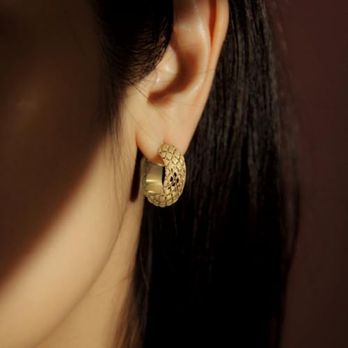 RENAIZ Dainty Lightweight Hoop & Stud Earrings for Women – 14K Gold Plated & Rhodium Plated, Minimalist Geometric Hypoallergenic Jewelry, Tiny Dainty Everyday Studs and Hoops - color: Yellow Gold, style: Snake Skin