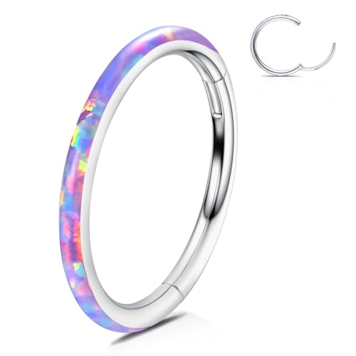 WBRWP 316L Stainless Steel Nose Hoop Rings Clicker with Zircon/Opal 14g-20g | Hypoallergenic Nose Rings Segment Clicker Lip Rings Cartilage Rook Conch Earrings Diameter 5mm-10mm - color: Silver ring with purple opal -1pc pack