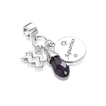 LSxAB Birthday Birthstone Zodiac Sign Charm Compatible with Pandora Charms Bracelets for Women - style: 02 Aqurius