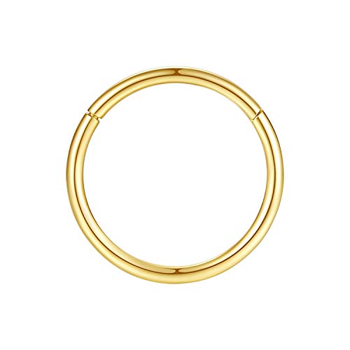 ORANGELOVE Hypoallergenic Nose Rings 20G 18G 16G 14G 12G 10G 8G 316l Surgical Steel Septum Jewelry Hinged Segment Ring Body Piercing Nose Hoop Lip Rings Nose Helix Cartilage Rook Earrings - color: Gold, size: 1pc 16 Gauge 7mm