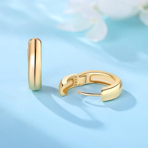 Sterling Silver 18K Gold Plated Women's Earrings Hypoallergenic Hoops, Dainty Trendy Jewelry Gift - color: Golden | Textured Versatile Basic Earrings