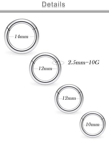 20G 18G 16G 14G 12G 10G Surgical Steel Hinged Clicker Segment Nose Rings Hoop Lip Rings Helix Cartilage Daith Tragus Sleeper Earrings Body Piercing for Women Men 6mm 8mm 10mm 12mm 14mm 16mm - color: Silver-10G（2.5mm)-Inner Diameter: 10mm 12mm 14mm 16mm
