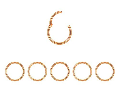 5Pcs 16G 18G Surgical Steel Nose Rings Hoop Tragus Septum Cartilage Hoop Earrings For Women Men Body Piercing Jewelry Kit Bar Length 6mm/8mm/10mm/12mm/14mm - style: 5Pcs -18G - Rose Gold - 10mm