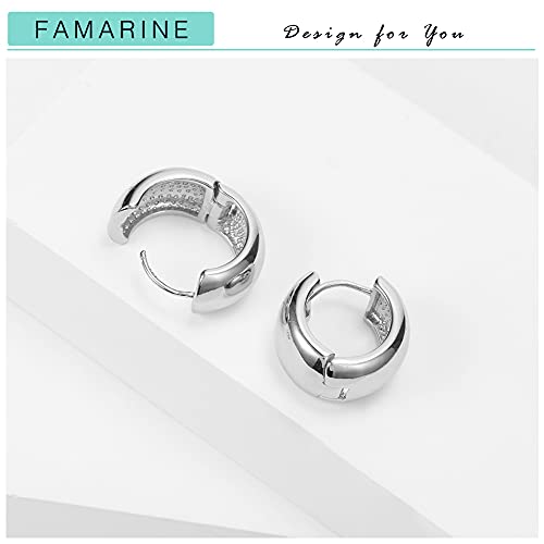 FAMARINE Chunky Thick Hoop Earrings for Women Gold Hoops Huggie Earrings for Men Gift - color: 0.8" Hoop Silver