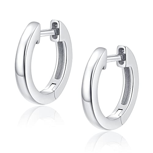 14K Gold Plated Hoop Earrings for Women with 925 Sterling Silver Post, Lightweight Small Hoop Earrings 15mm/20mm Huggie Hoop Earrings - color: 925 Sterling Silver, size: 15MM