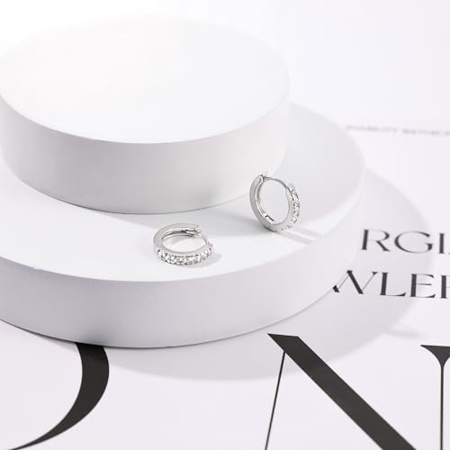 micuco 3 Pairs Small Hoop Earrings Tiny Cartilage Earrings for Women Men | Cubic Zirconia Earrings Huggie Hoop Ear Piercing Earrings for 8mm 10mm 12mm - color: 17# Silver 10mm