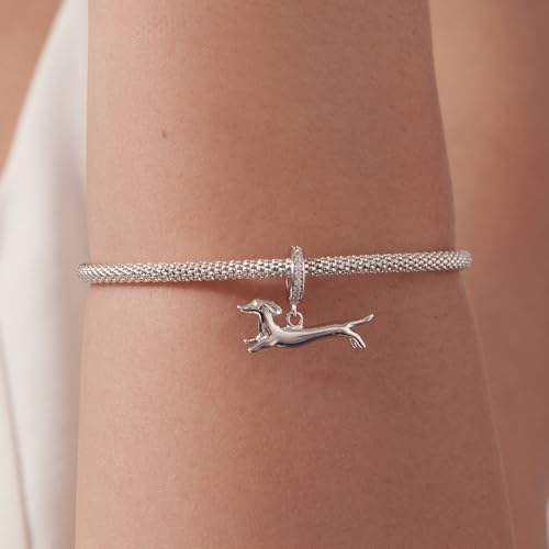 Hummingbird Charms For Bracelets 925 Sterling Silver Animal Dangle & Beads Butterfly Cat Beads Charms For Women Jewelry Gift - color: Running Dachshund