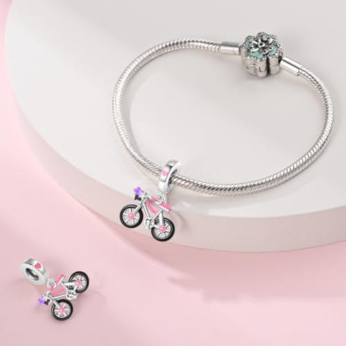 925 Silver Charm for Bracelets Animal Pet Insect Series Women Jewelry Gift - color: Black bicycle