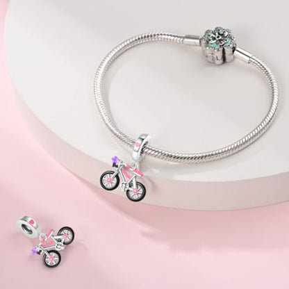 925 Silver Charm for Bracelets Animal Pet Insect Series Women Jewelry Gift - color: Black bicycle