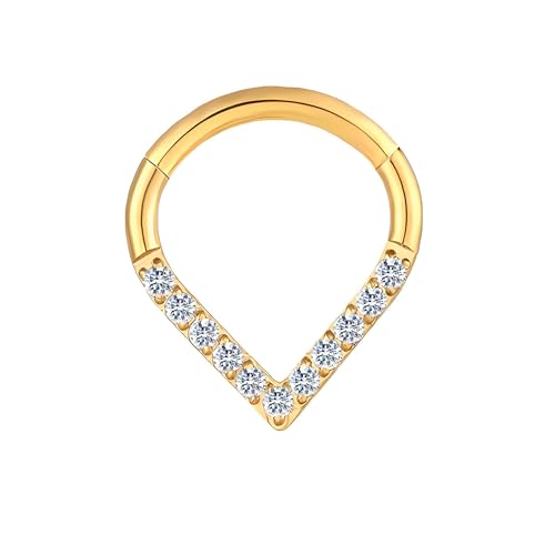 HQLA 16G Nose Hoop Ring Septum Ring Clear CZ Daith Earring Surgical Steel Hinged Segment Seamless Clicker Tragus Rook Helix Cartilage Conch Hoop Piercing Jewelry for Women men 8mm 10mm - style: 16G-10MM-Teardrop-Gold