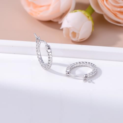 925 Sterling Silver Hollow Hoop Earrings for Women, Simple and Retro Style, Jewelry Gifts for Valentine's Day, Mother's Day, And Birthdays - style: Style 1