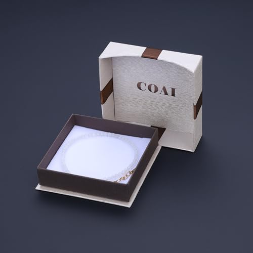 COAI Beach Waterproof Anklet for Women, Black Tourmaline Moonstone Amethyst Beaded Anklet for Women - style: Moonstone