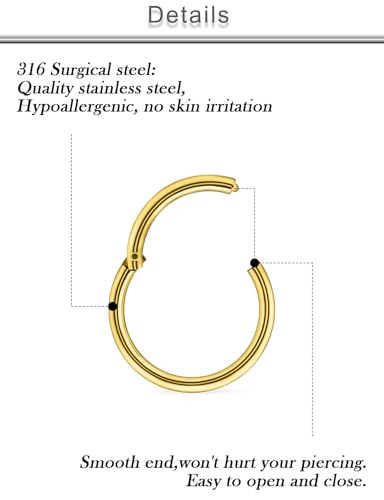 20G 18G 16G 14G 12G 10G Surgical Steel Hinged Clicker Segment Nose Rings Hoop Lip Rings Helix Cartilage Daith Tragus Sleeper Earrings Body Piercing for Women Men 6mm 8mm 10mm 12mm 14mm 16mm - color: Gold-18G（1.0mm)-Inner Diameter: 7mm 8mm 9mm 10mm
