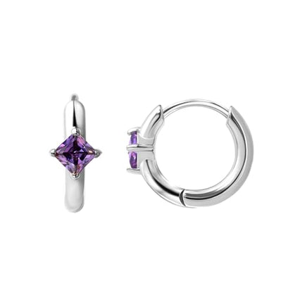 316L Surgical Steel Birthstone Hoop Earrings for Women | Lightweight, 5A Cubic Zirconia, Hypoallergenic, Lead & Nickel Free, 8mm Huggie Hoops - color: Silver: 02. February (Amethyst)
