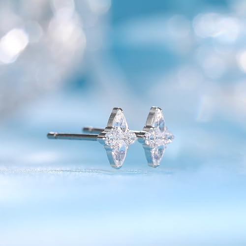 Limerencia F136 Implant Grade Titanium Cubic Zirconia Women Stud Earrings | 20G Hypoallergenic medical grade titanium earrings,G23 Small Dainty Earrings for Women's Sensitive Ears Lobes