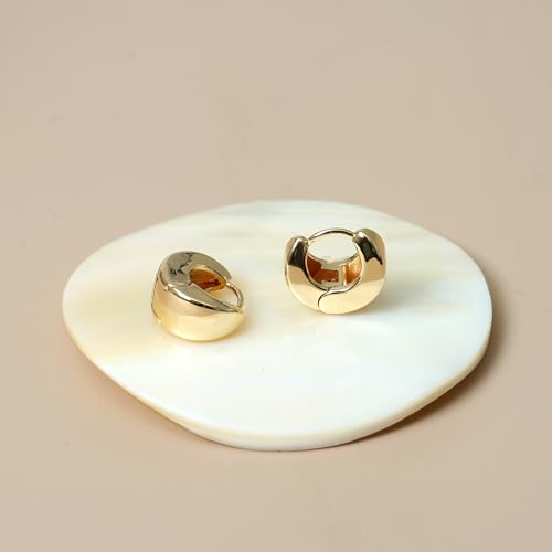 Small Chunky Gold Hoop Earrings For Women, 14k Gold Thick statement huggie hoop earrings Trendy Hoop Earrings Set Hypoallergenic Fashion Earrings - color: Triangle hoop-Gold
