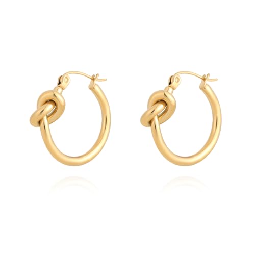 Milan Chiva Acrylic Gold Hoop Statement Dainty Summer Earrings | Brown Resin Chunky Huggie Vintage Earrings | Clear Enamel Drop Earring Lightweight Hypoallergenic Trendy Jewelry Gifts for Women - color: A-Gold
