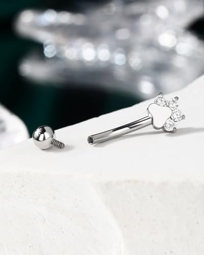 Cute G23 Titanium Paw Print Rook Earrings for Women Men-6mm, 8mm 16g Rook Piercing Jewelry Puppy Surgical Steel Eyebrow Rings Internally Threaded Dainty Eyebrow Barbells - color: 6mm