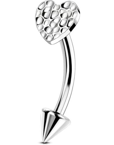 OUFER Rook Piercing Jewelry, G23 Solid Titanium Eyebrow Rings, Heart Vertical Labret Lip Jewelry, 16G Curved Barbells, Daith Rook Earrings for Women Men - color: Stainless Steel Heart, size: 16G 8mm
