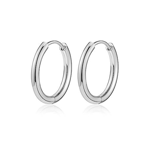Titanium Huggie Hoop Earrings Hypoallergenic Nickel Free Hinged Sleeper Earrings for Sensitive Skin Cartilage Helix Lobes - style: silver 8mm
