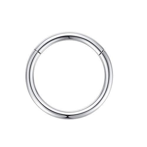ORANGELOVE Hypoallergenic Nose Rings 20G 18G 16G 14G 12G 10G 8G 316l Surgical Steel Septum Jewelry Hinged Segment Ring Body Piercing Nose Hoop Lip Rings Nose Helix Cartilage Rook Earrings - color: Silver, size: 1pc 14 Gauge 12mm