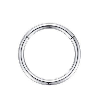 ORANGELOVE Hypoallergenic Nose Rings 20G 18G 16G 14G 12G 10G 8G 316l Surgical Steel Septum Jewelry Hinged Segment Ring Body Piercing Nose Hoop Lip Rings Nose Helix Cartilage Rook Earrings - color: Silver, size: 1pc 14 Gauge 12mm