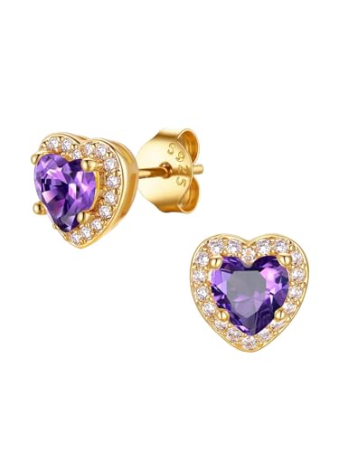 FindChic Birthstone Earrings for Women, Round/Heart/Square/Teardrop Earrings with 925 Sterling Silver Posts & Push Backs, Hypoallergenic Studs with Cubic Zirconia, 12 Months Jewelry with Gift Box - style: 02. February-Amethyst (Heart-Gold)