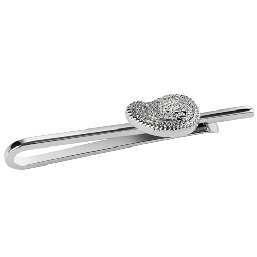 HAWSON Various Tie Clips for Men Unique, Funny Novelty Mens Tie Bar, Personalized Tie Pins for Men, Theme Wedding Party Gifts - style: Paisley Swirl